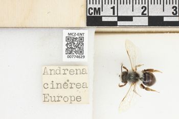 Media type: image;   Entomology 774629 Aspect: Labels